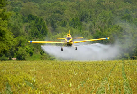 pesticide spray. With recent reports about research concluding that 