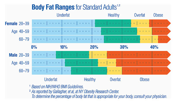 Body Fat Ranges For Standard Adults 91